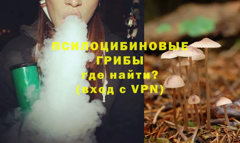 Псилоцибиновые грибы Psilocybe  hydra tor  Яровое 